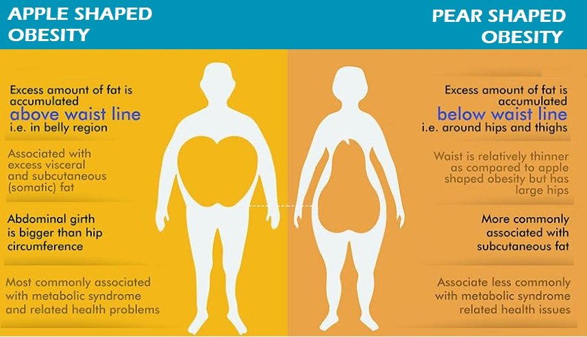 aBDOMINALoBESITY