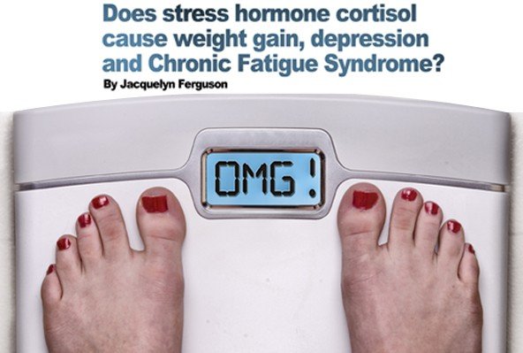 01C4475101CD30D04DF08673A577656F01-main-article-6730